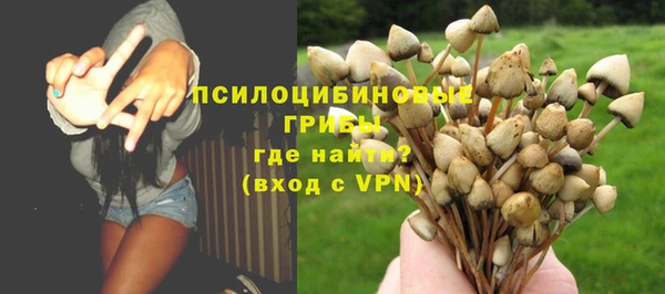 первитин Алексин